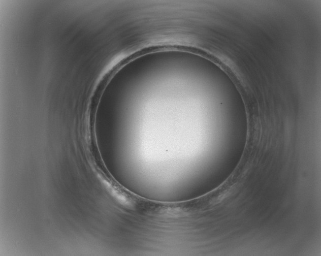 X0000080170982200612151918