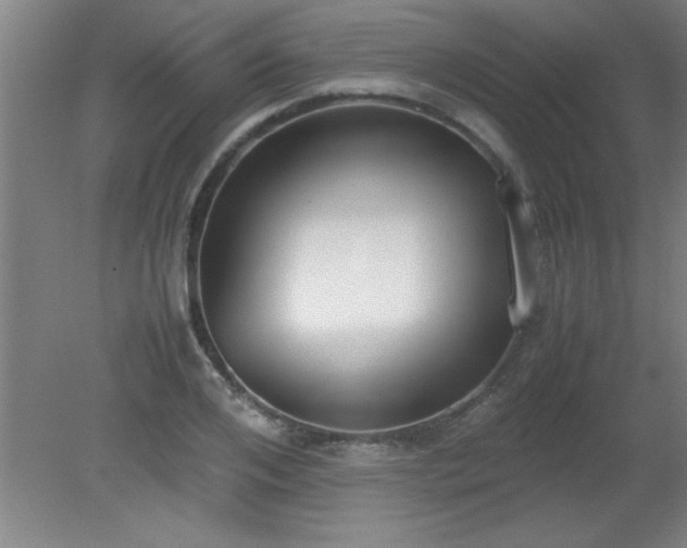 X0000080170984200612151918