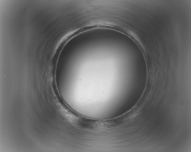 X0000080170987200612151918