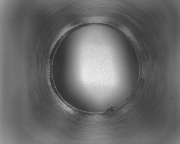 X0000080170992200612151918