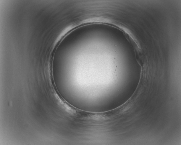 X0000080170998200612151918