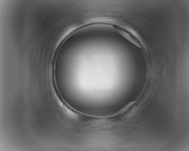 X0000080170999200612151918