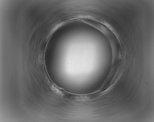 X0000080171001200612151918