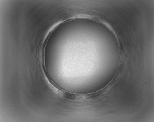 X0000080171003200612151918