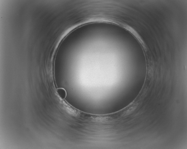 X0000080171004200612151918