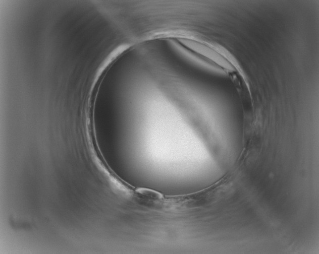 X0000080171005200612151918
