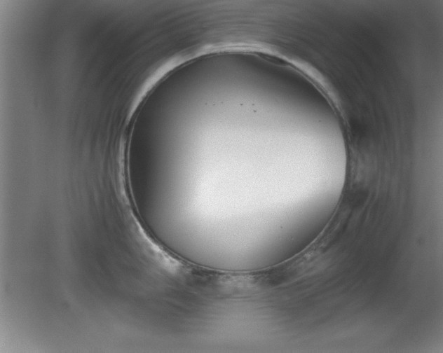 X0000080171006200612151918