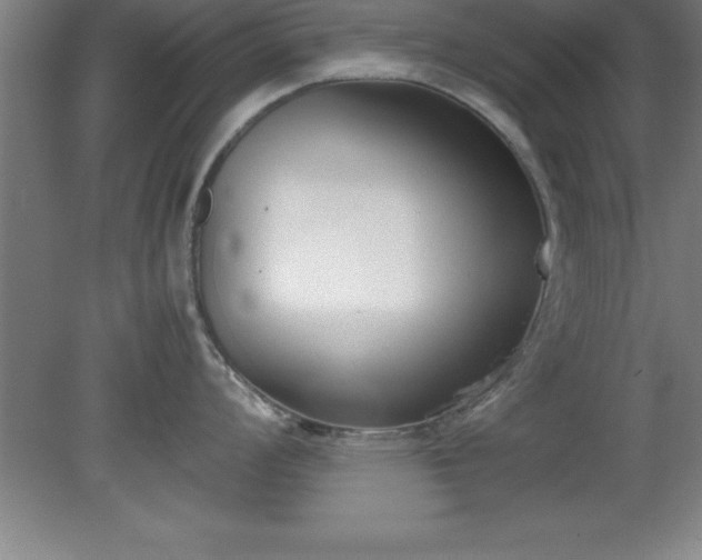 X0000080171008200612151918