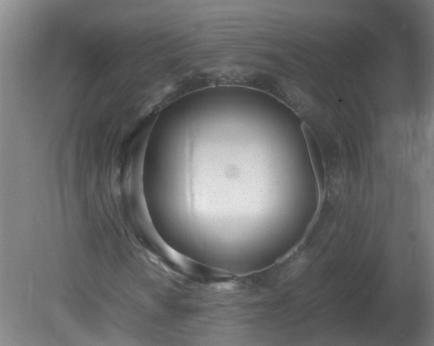 X0000080171010200612151917