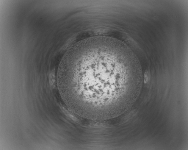 X0000080171011200612151917