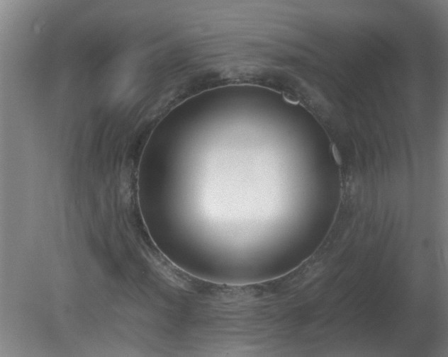 X0000080171012200612151917
