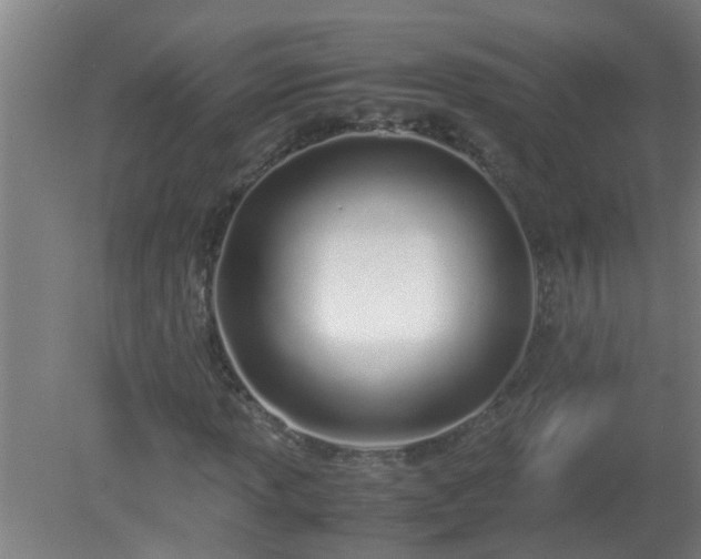 X0000080171013200612151917