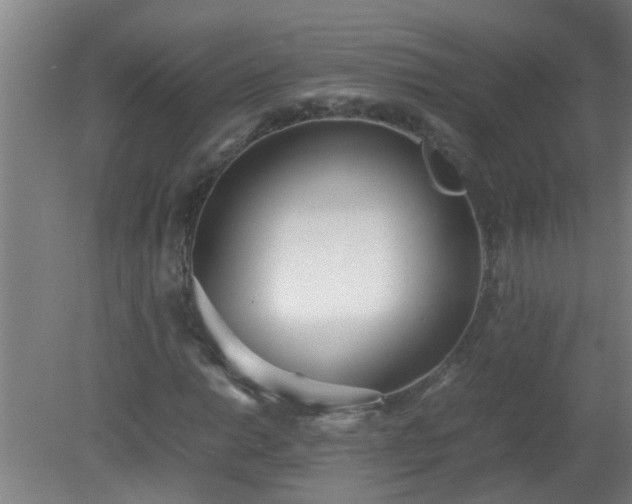X0000080171014200612151917