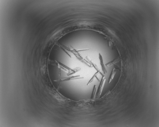 X0000080171015200612151917