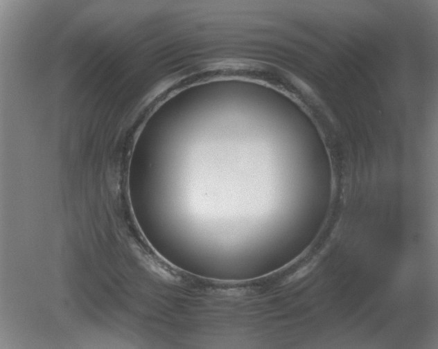X0000080171017200612151917