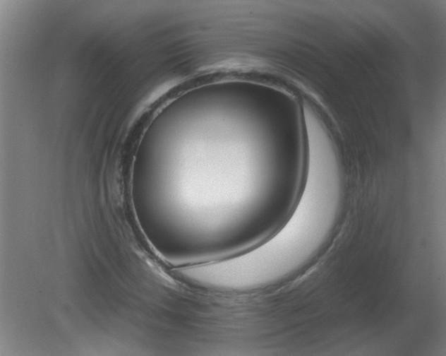 X0000080171018200612151917