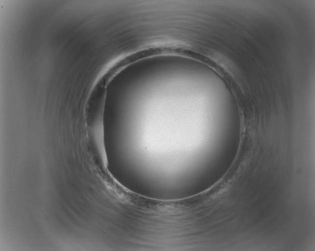 X0000080171022200612151917