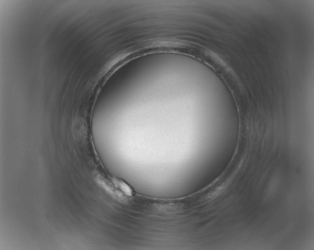 X0000080171025200612151917