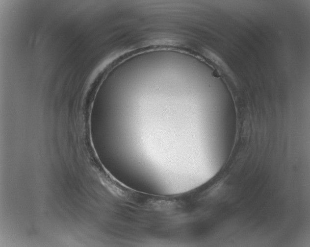 X0000080171027200612151917
