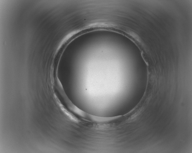 X0000080171030200612151917