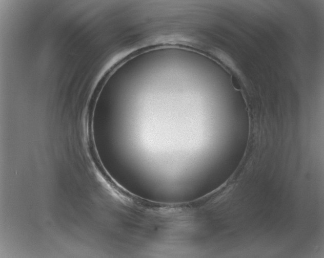 X0000080171032200612151917