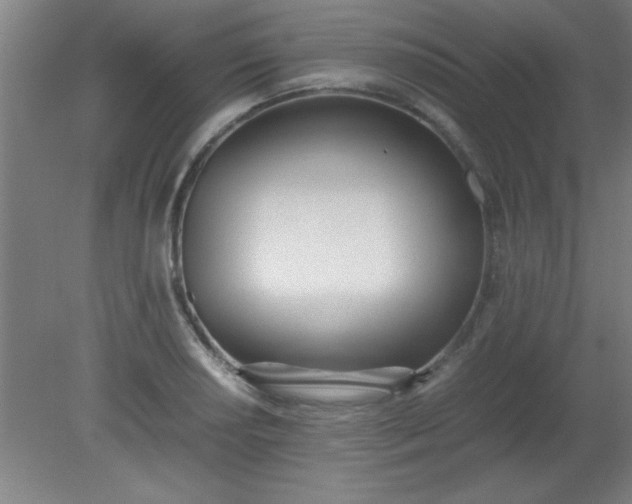 X0000080171034200612151917