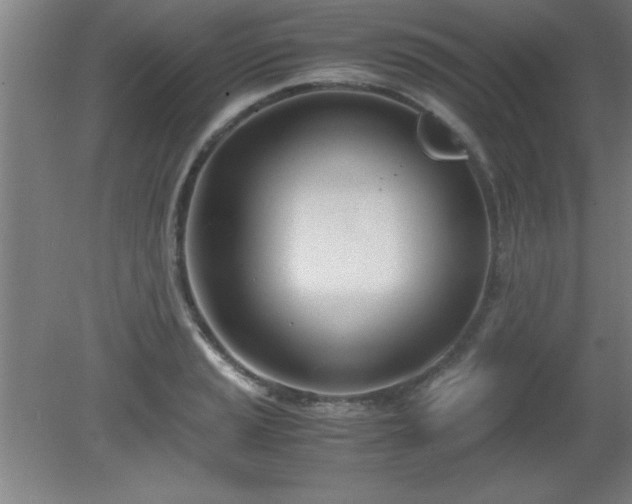 X0000080171037200612151917