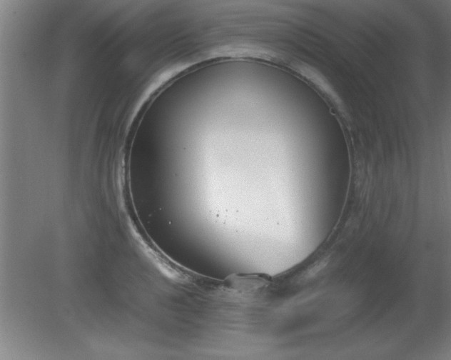 X0000080171040200612151917