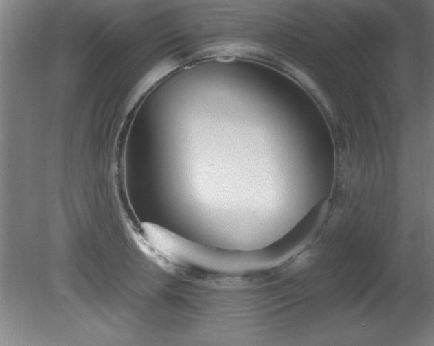 X0000080171042200612151917