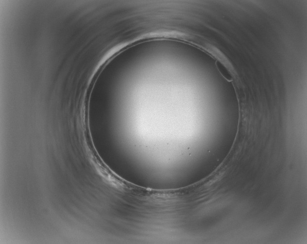 X0000080171044200612151917