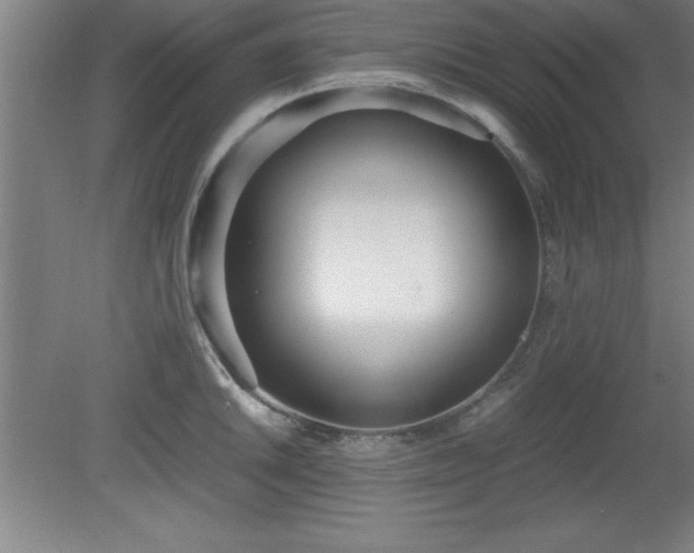 X0000080171046200612151917