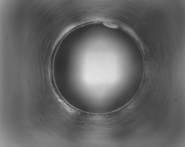 X0000080171048200612151917
