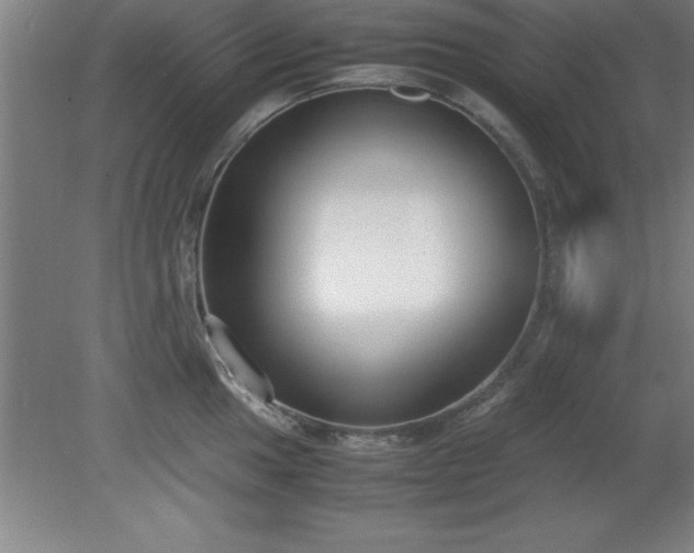 X0000080171049200612151917