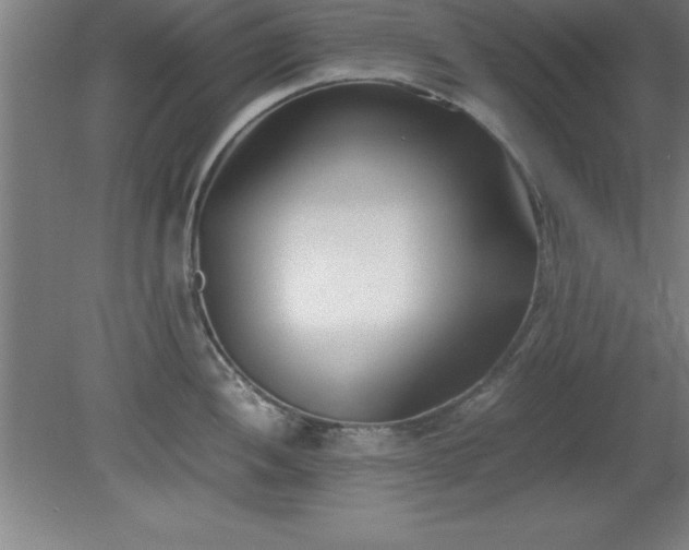 X0000080171052200612151917