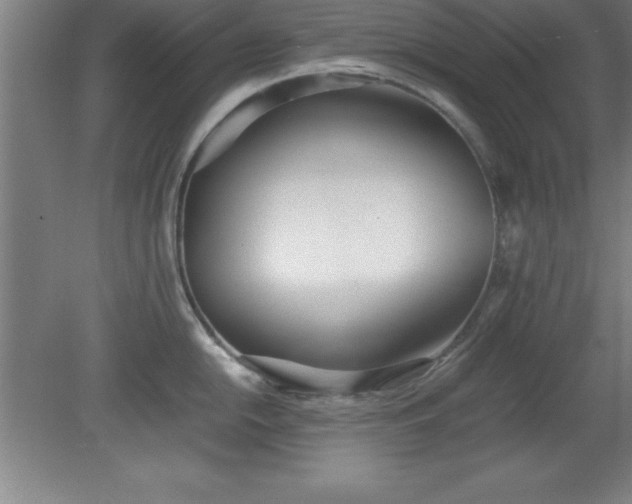 X0000080171054200612151917