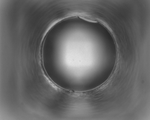 X0000080171056200612151917