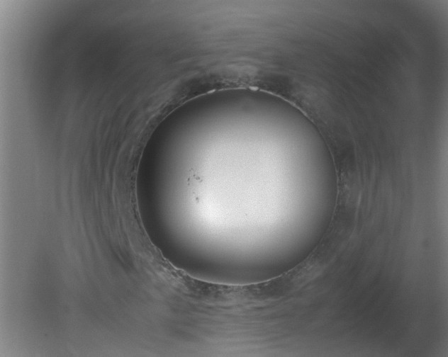 X0000080171057200612151917