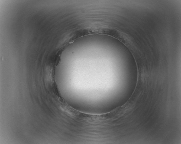 X0000080171060200612151917