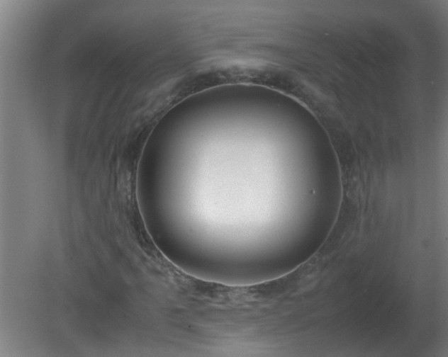 X0000080171061200612151917
