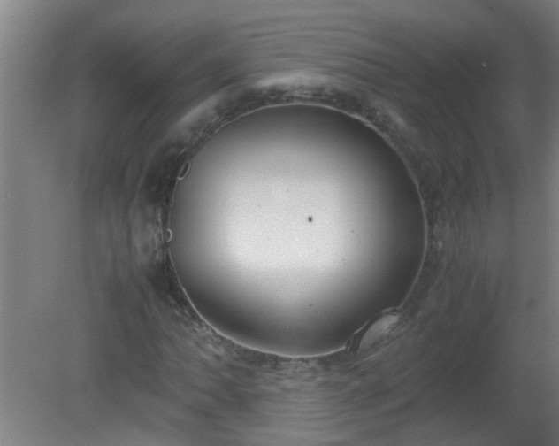 X0000080171062200612151917