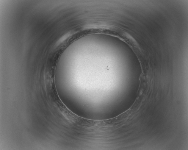 X0000080171064200612151917