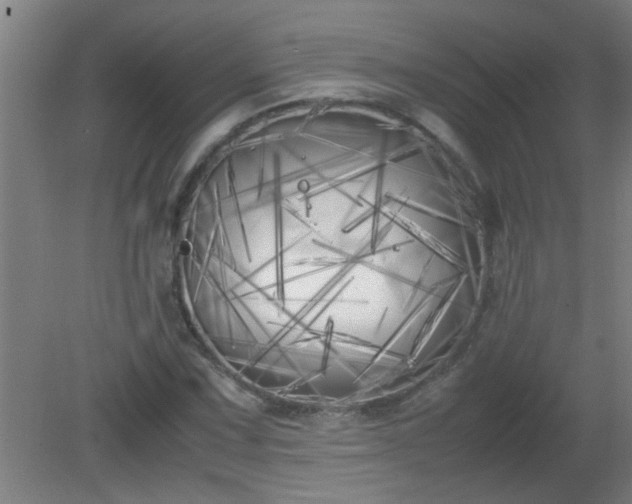 X0000080171067200612151916