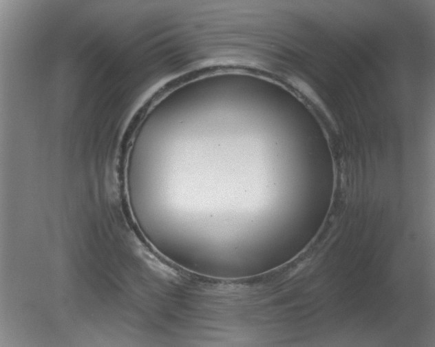 X0000080171068200612151916