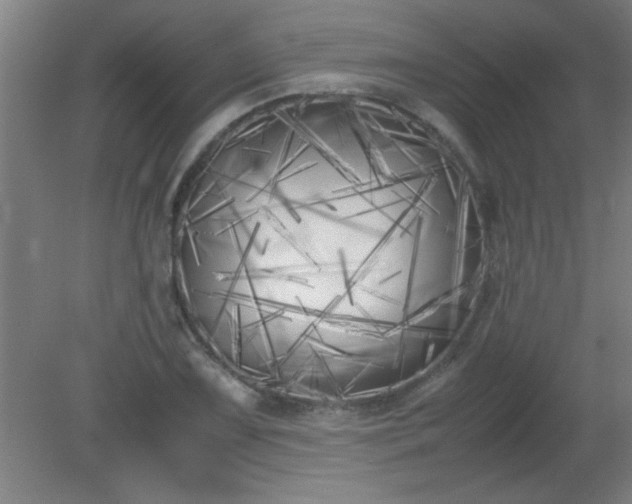 X0000080171075200612151916