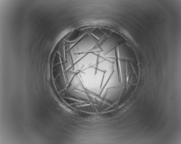 X0000080171079200612151916