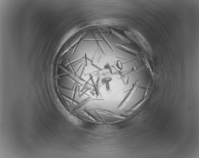 X0000080171091200612151916