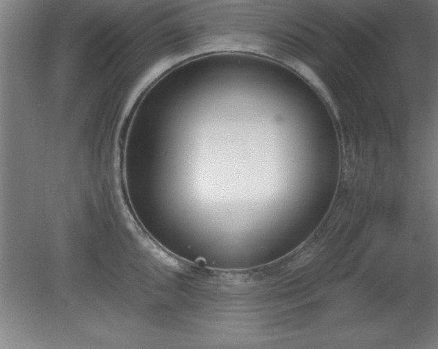 X0000080171096200612151916