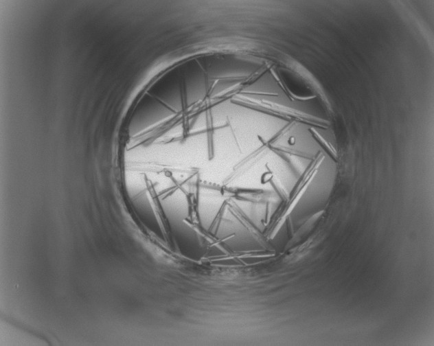 X0000080171099200612151916