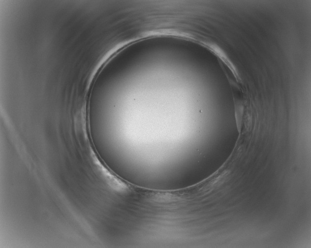 X0000080171100200612151916