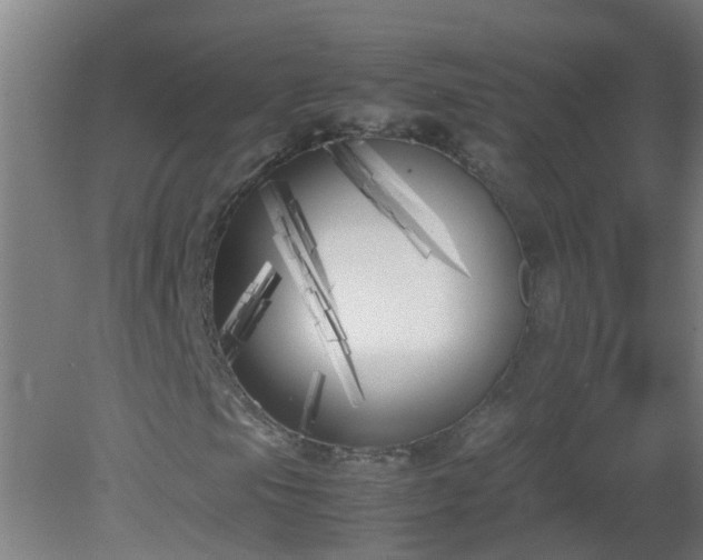 X0000080171105200612151915